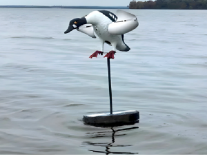 Duck Float with Duck Decoy of your Choice