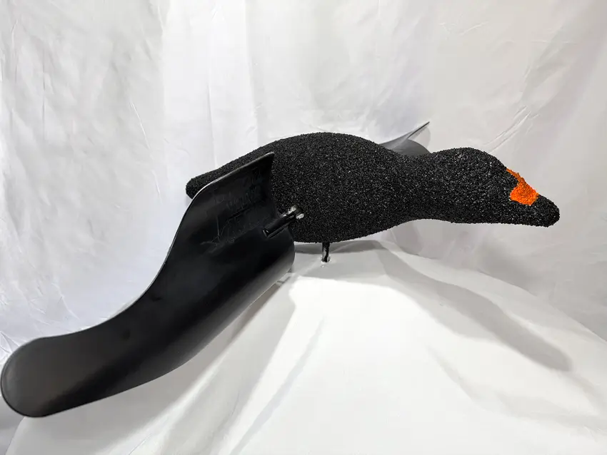 A realistic black scoter duck decoy with a textured surface and an orange mark near its beak, displayed on a white fabric backdrop.