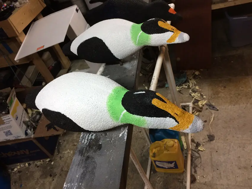 Two painted common eider duck decoys with green, black, and white patches that are sitting on a workbench in a workshop.