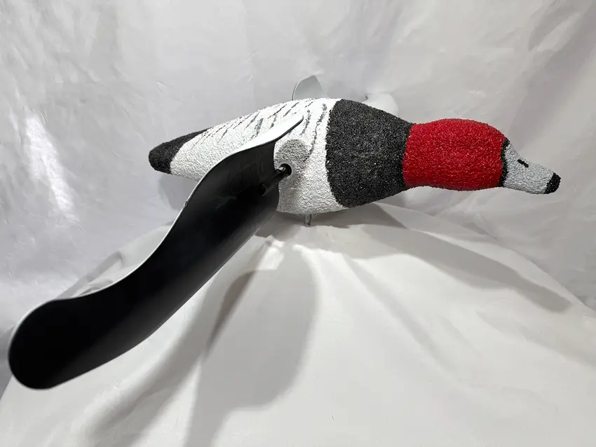 A realistic redhead duck decoy with a red head, white body, and black wings and is displayed on a white fabric backdrop.