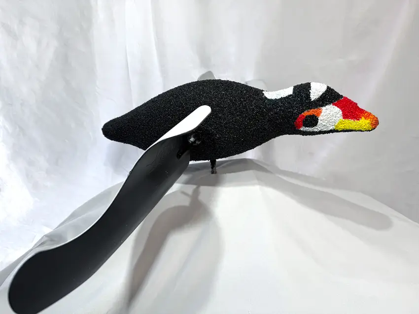 A realistic surf scoter duck decoy with a sleek body with vibrant painted details in red, yellow, and white beak is displayed on a white fabric backdrop.