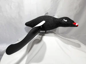 White Wing Scoter Decoy