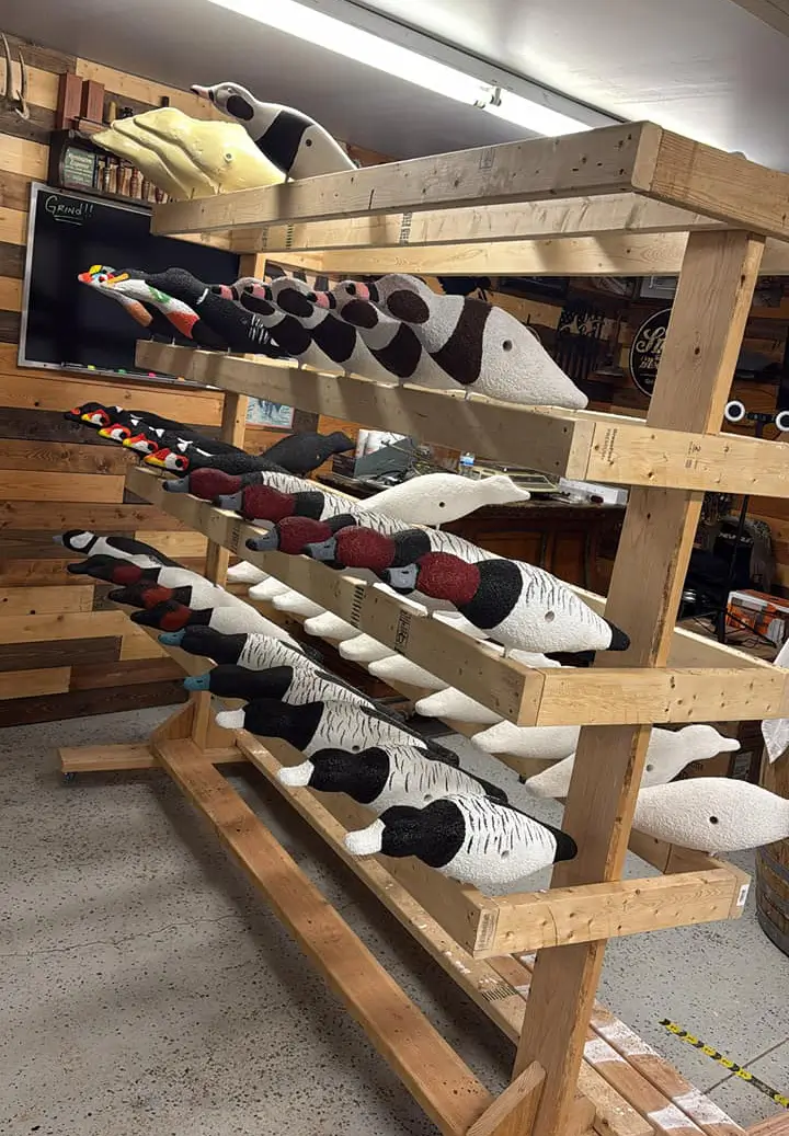 A wooden rack displays several rows of colorful duck decoys in a workshop, with wood-paneled walls and various tools scattered in the background.