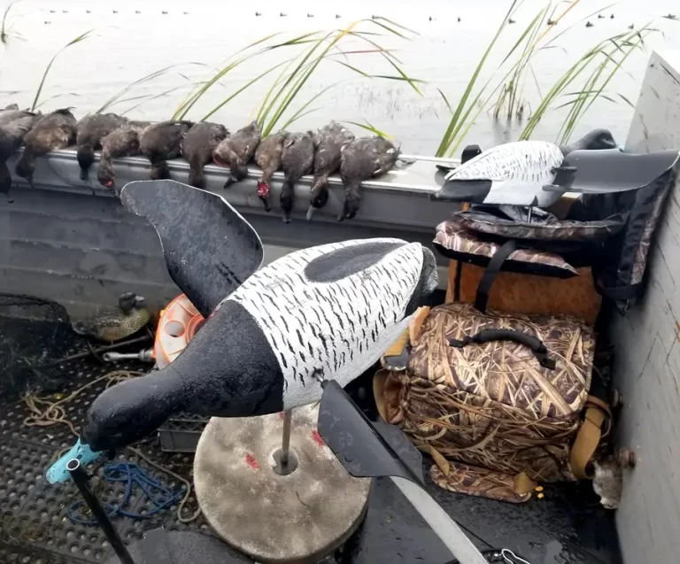 A boat contains decoy ducks, hunting gear, and a row of harvested ducks along the edge.