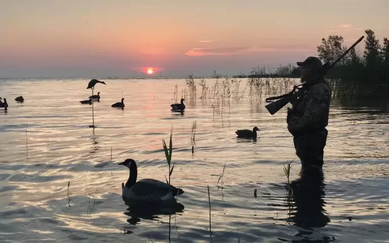 A person in camouflage stands knee-deep in water at sunset, holding a rifle surrounded by ducks and a floating duck decoy.