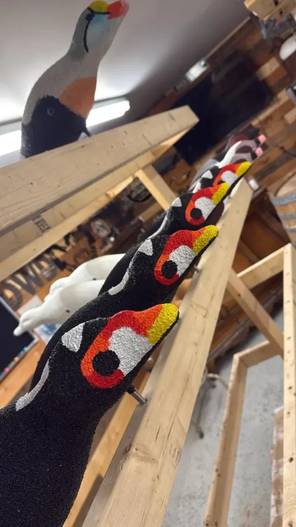 Several painted surf scoter duck decoys, are lined up on wooden racks in a workshop setting.