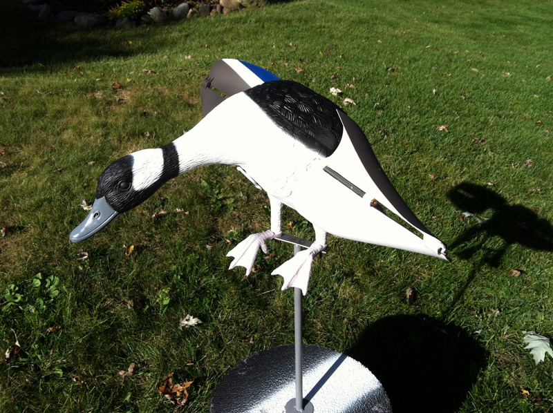 bufflehead decoy